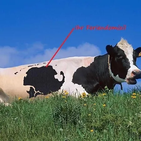 Haus Hinterm Deich Appartamento *